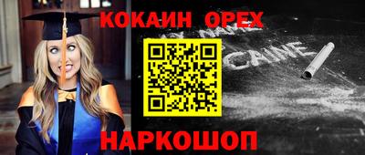 гашик Кингисепп