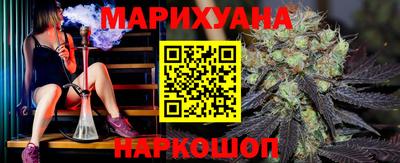гашик Кингисепп