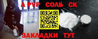 гашик Кингисепп