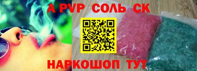 гашик Кингисепп