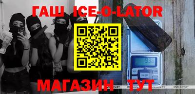 гашик Кингисепп