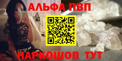 гашик Кингисепп