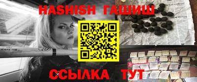 гашик Кингисепп