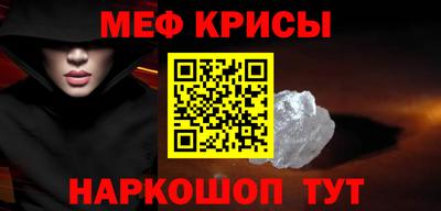гашик Кингисепп