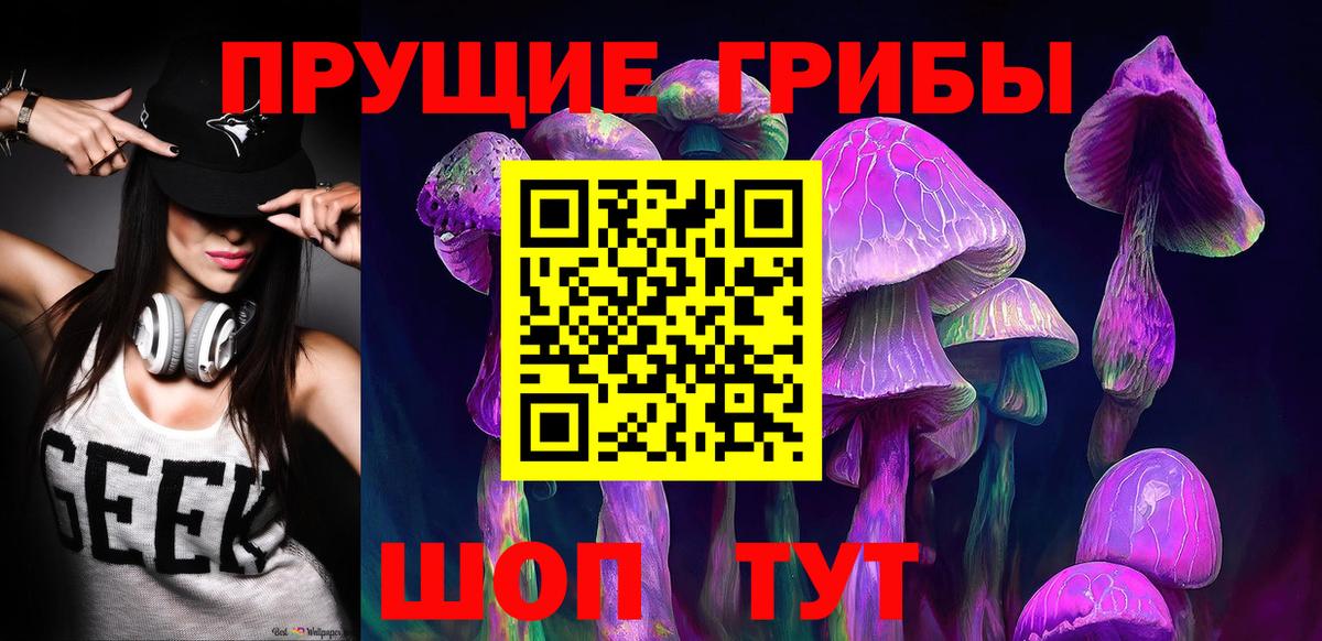 Псилоцибиновые грибы Psilocybine cubensis  Вход с VPN  Корсаков 